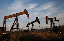 Saudi Arabia "đề nghị" các nước sản xuất dầu giảm 5% sản lượng